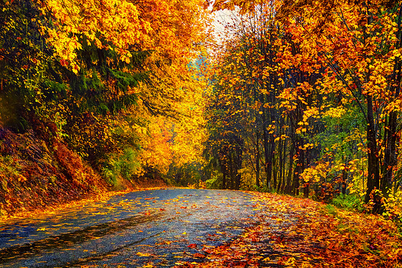 Brilliant Fall