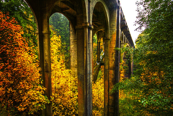 Bridging the Seasons