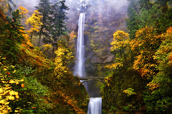 Into the Mist
